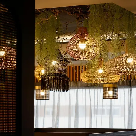 فندق Nuvo Boutique اوفيدو